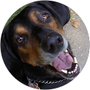 Sandra L. Steinmetz profile picture