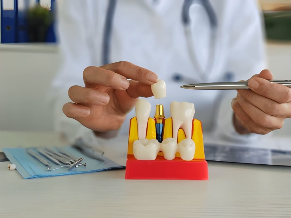Dentist showing how a dental implant crown fits on a model.